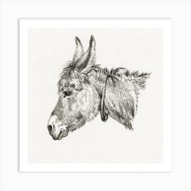 Head Of A Donkey 1, Jean Bernard Art Print