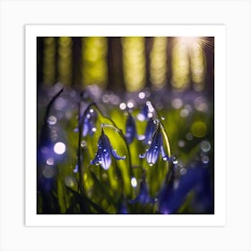 Dancing Light on Delicate Woodland Bluebells Art Print