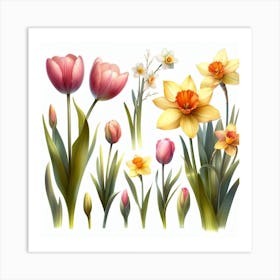 Tulips and Daffodils 3 Art Print