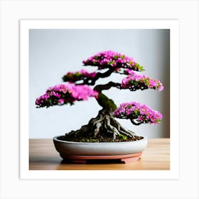 Bonsai Tree Art Print