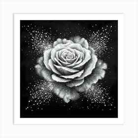 White Rose On A Black Background Art Print