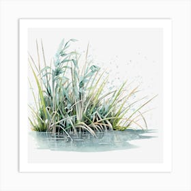 Water Lilies Art Print