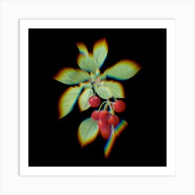 Prism Shift Cherry Botanical Illustration on Black n.0002 Art Print