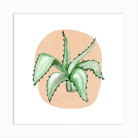 Aloe Vera Art Print