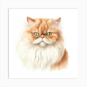 Colorpoint Persian Cat Portrait 2 Art Print