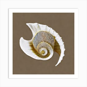 Psychedelic Sea Shell Art Print