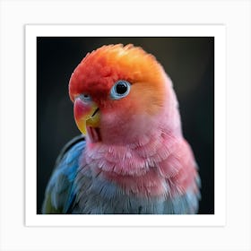 Lovable Parrot Art Print