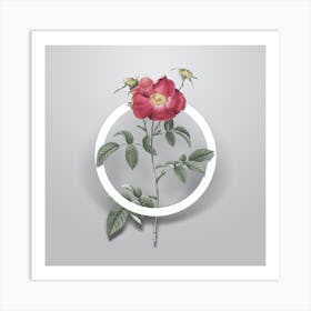 Vintage Stapelia Rose Bloom Minimalist Flower Geometric Circle on Soft Gray n.0288 Art Print
