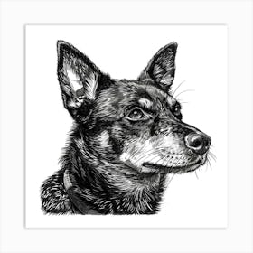 Canaan Dog Line Sketch 2 Art Print