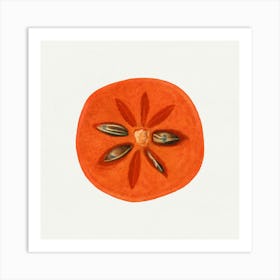 Tomato Seed Art Print