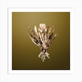 Gold Botanical Crimean Iris on Dune Yellow n.2967 Art Print