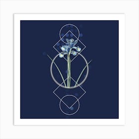 Vintage Spanish Iris Botanical with Geometric Line Motif and Dot Pattern Art Print