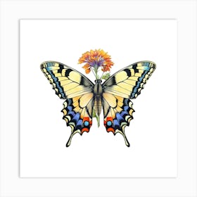 Butterfly On A Flower Art Print