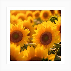 Sunflowers In The Field Art Print