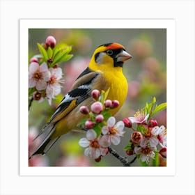 Goldfinch Art Print