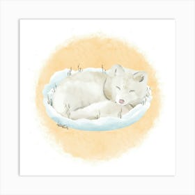 Arctic Fox/Renard des neiges Art Print