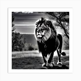Lion In Black And White 4 Art Print