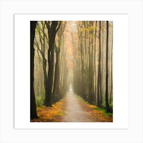 Foggy Forest Path Art Print