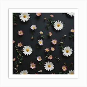 Daisies On A Black Background Art Print