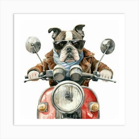 Boston Terrier 1 Art Print