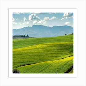 Fields Of Green Art Print