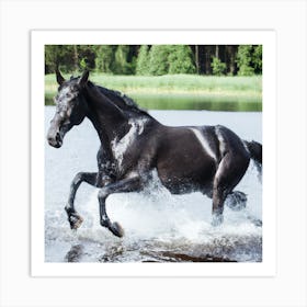 Horse Galloping In The Water Art Print