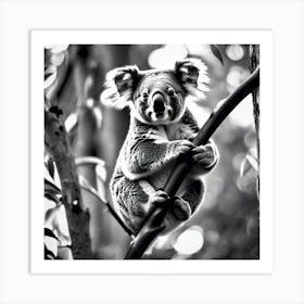 Koala 4 Art Print