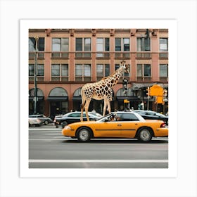 Giraffe On Taxi Art Print