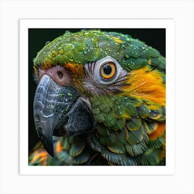 Portrait Of A Parrot 4 Art Print