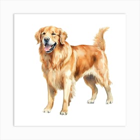 Golden Retriever Dog 1 Art Print