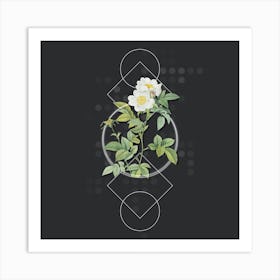 Vintage White Anjou Roses Botanical with Geometric Line Motif and Dot Pattern n.0192 Art Print