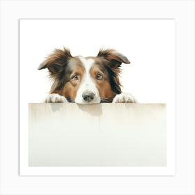 Border Collie 12 Art Print