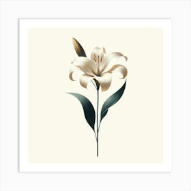 White Lily Art Print