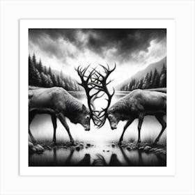 Stag And Deer Art Print