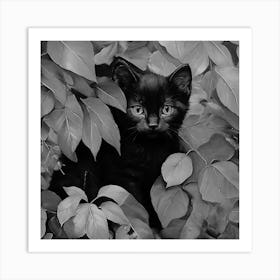 Black and White Black Cat In Leaves 1 Art Print