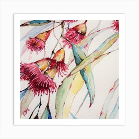 Eucalyptus 1 Art Print