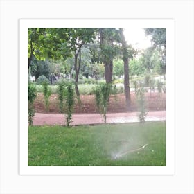 Water Sprinkler In The Park 1 Art Print