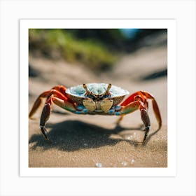 Crab Walking On Sand Art Print