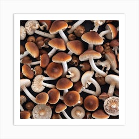 Mushrooms On A Black Background 4 Art Print