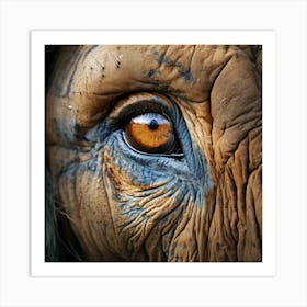 Eye Of An Elephant Art Print