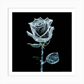 Frozen Rose Art Print