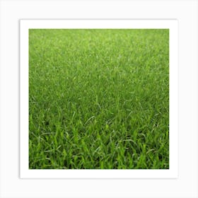 Green Grass 52 Art Print