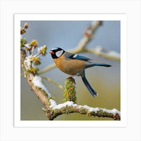 Blue Tit 69 Art Print