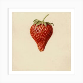 Fruit 6 Art Print