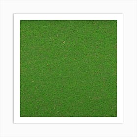 Grass Flat Surface For Background Use (96) Art Print