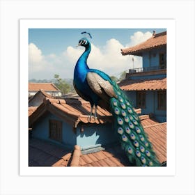 Peacock On Roof Art Print