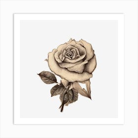 Rose On Black Background Art Print