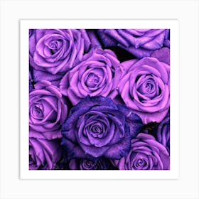 Purple Roses Art Print