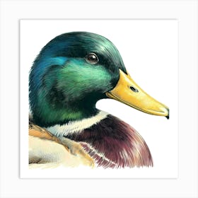 Wild Bird Artwork 86 Art Print