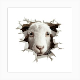 Goat Looking Through A Hole Art Print